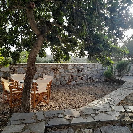 LefkiasThe Two Carob Trees, Traditional Stonehouse, Nikandri, Pirgos Dirosアパートメント エクステリア 写真