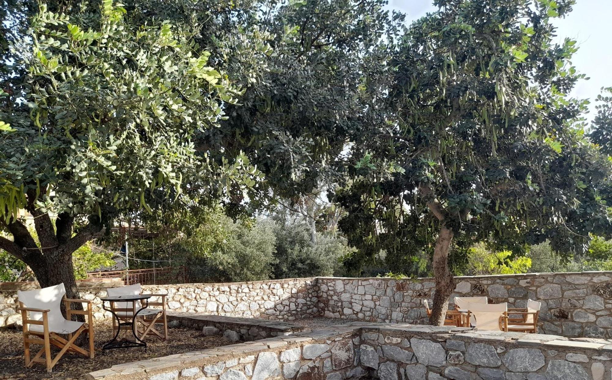 LefkiasThe Two Carob Trees, Traditional Stonehouse, Nikandri, Pirgos Dirosアパートメント エクステリア 写真